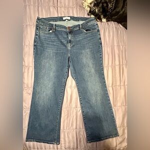 Lane Bryant Signature Fit, Boot Cut 20S
